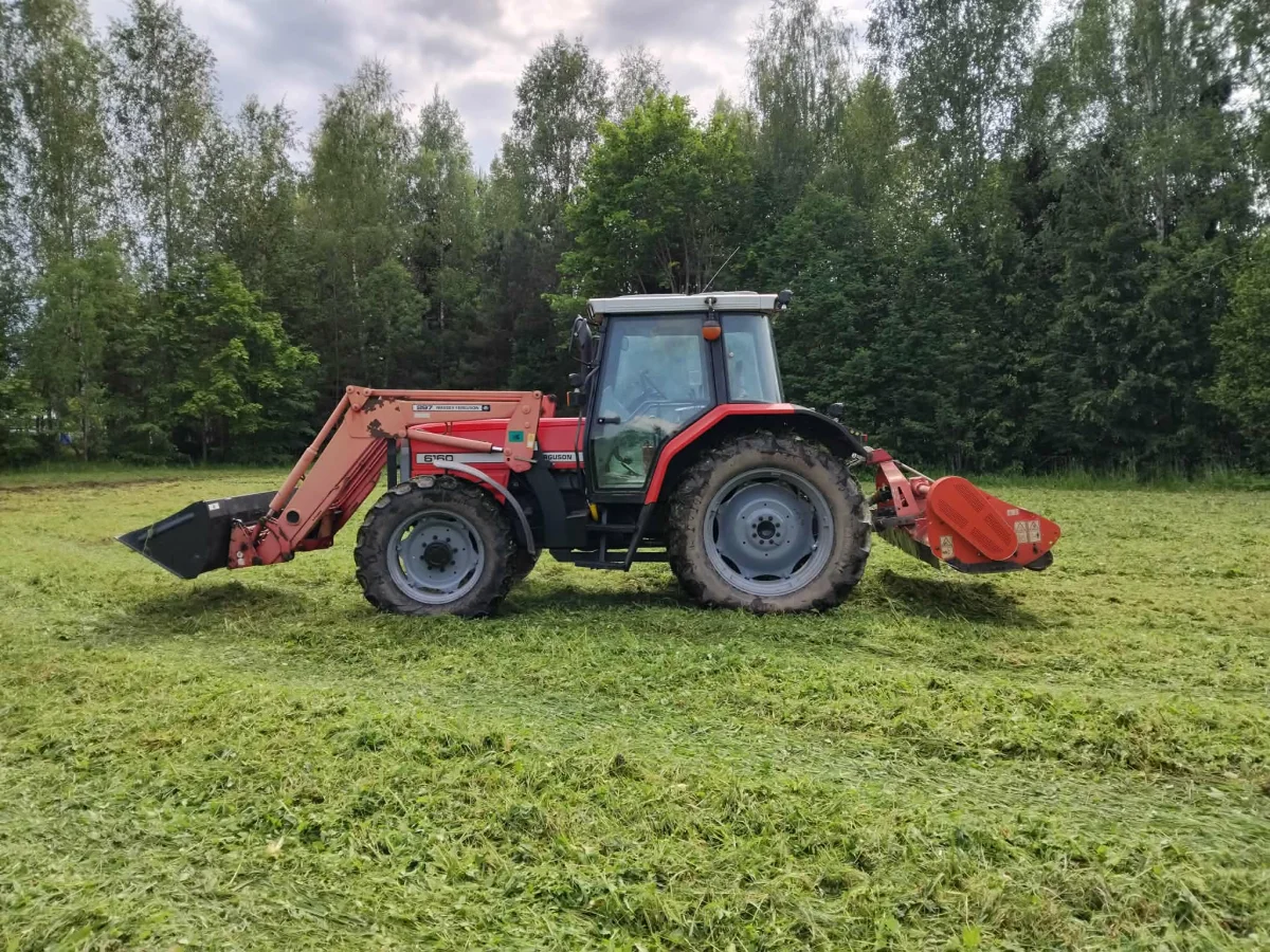 Nupjauta ir susmulkinta žolė pievoje po šienavimo
